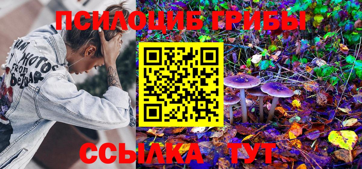 Псилоцибиновые грибы Magic Shrooms Казань