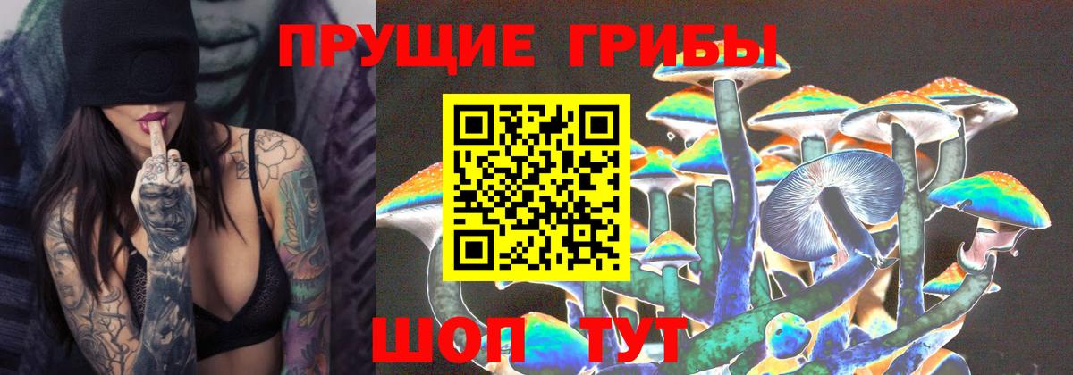 Псилоцибиновые грибы Cubensis  Вход с VPN  Казань  Галлюциногенные грибы мицелий 